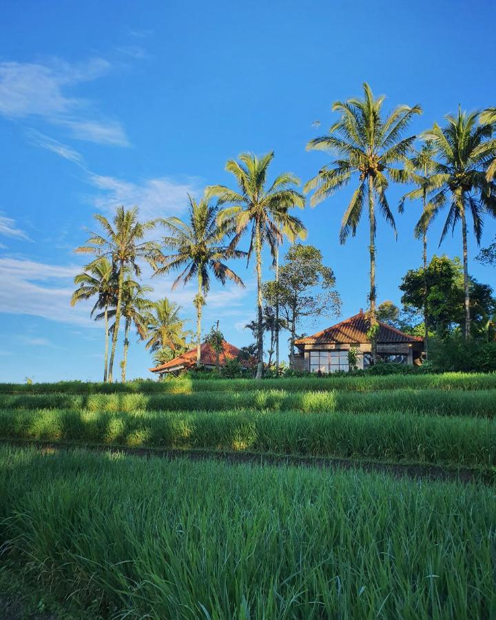 Sava Eco Retreat Hotel Padangan  ภายนอก รูปภาพ