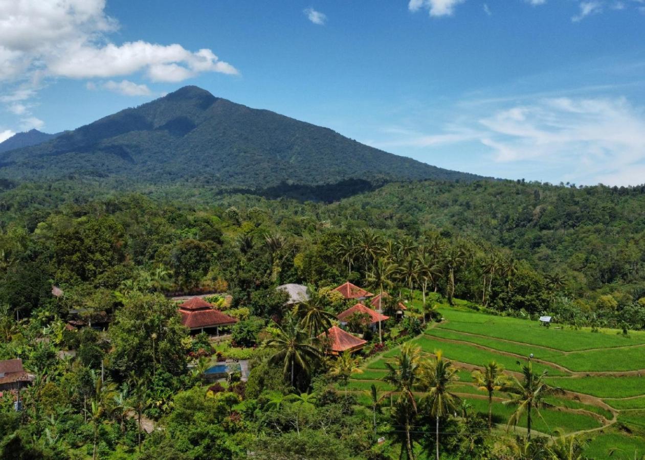 Sava Eco Retreat Hotel Padangan  ภายนอก รูปภาพ