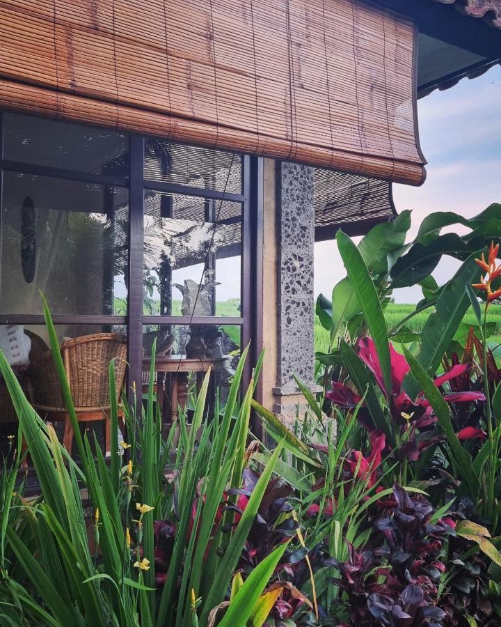Sava Eco Retreat Hotel Padangan  ภายนอก รูปภาพ
