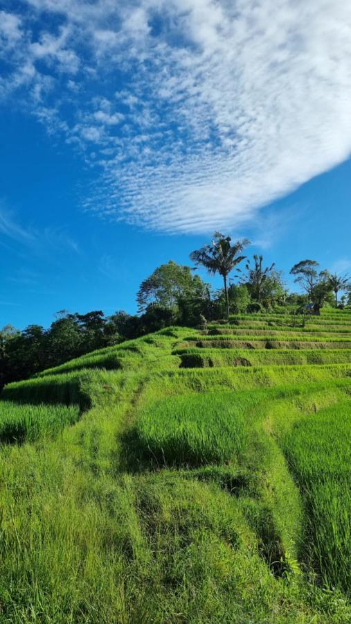 Sava Eco Retreat Hotel Padangan  ภายนอก รูปภาพ